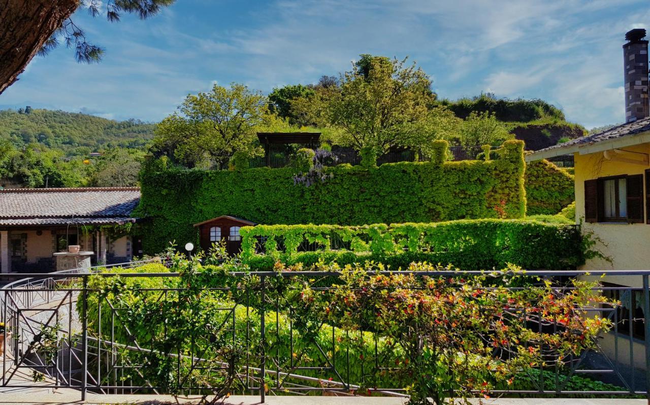 Agriturismo Le Vigne Bolsena Exteriör bild