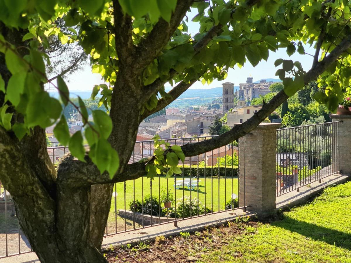 Agriturismo Le Vigne Bolsena Exteriör bild